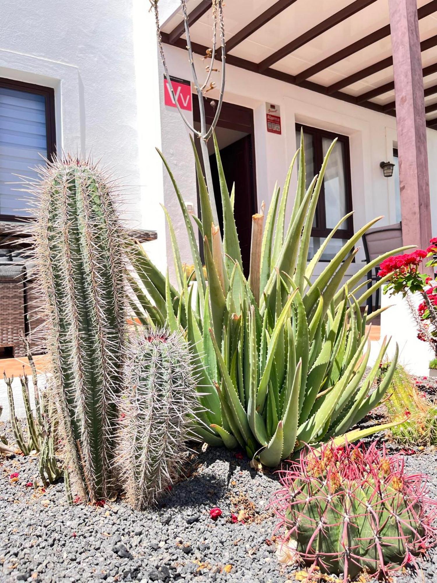 Casa Panadero's, 3 Bedroom Villa Playa Blanca (Lanzarote) Exterior foto